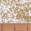 MIYUKI Delica Beads SEED-JP0008-DB0410-4