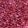 6/0 Gradient Color Glass Seed Beads SEED-N007-36J-3