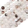 Natural Dendritic Agate Beads Strands G-C011-6mm-01-2
