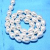 Teardrop Shell Pearl Bead Strands BSHE-L015-8x11-01-3