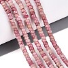 Natural Rhodonite Beads Strands G-Q606-46A-16-1