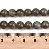 Handmade Lampwork Beads Strand LAMP-B056-8mm-21-5