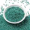 MIYUKI Round Rocailles Beads X-SEED-G008-RR0435-2