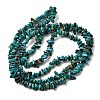 Natural HuBei Turquoise Bead Strands G-H345-A01-08-3