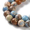 Dyed Natural Regalite/Imperial Jasper/Sea Sediment Jasper Beads Strands G-B124-C01-03-4