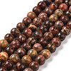 Natural Red Leopard Skin Jasper Beads Strands GSR066-1