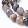 Natural Striped Agate/Banded Agate Beads Strands G-G582-10mm-57-3
