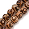 Natural Tibetan 3-Eye dZi Agate Beads Strands G-A240-A03-02-1