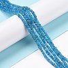 Natural Apatite Beads Strands G-C009-B14-2