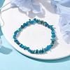 Natural Apatite Chips Beaded Stretch Bracelets for Women BJEW-JB10046-10-2