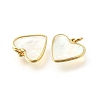 Natural White Shell & Epoxy Resin Charms KK-E794-02G-06-2