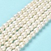 Natural Cultured Freshwater Pearl Beads Strands PEAR-E016-171-2