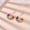 Natural & Synthetic Mixed Gemstone Braided Vortex Dangle Earrings EJEW-JE04933-3