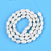 Natural Baroque Keshi Pearl Beads Strands PEAR-N031-01C-3