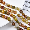 Natural Agate Beads Strands G-N326-100A-07-4