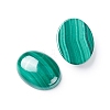 Natural Malachite Cabochons X-G-E557-03J-1