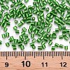 Glass Bugle Beads SEED-S032-08A-27-4