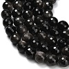 Natural Silver Obsidian Beads Strands G-C280-B08-10mm-4