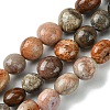 Natural Fossil Coral Beads Strands G-G117-A01-02-1