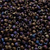 TOHO 6/0 Round Beads X-SEED-TR06-0615-4