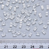 2-Hole Transparent Glass Seed Beads SEED-S031-M-001-3
