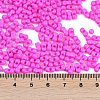 Baking Paint Glass Seed Beads X1-SEED-K010-A11-4