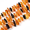 Natural Amber Beads Strands G-T138-237-1