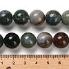 Natural Indian Agate Beads Strands G-G175-A06-01-5