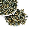 Picasso Glass Seed Beads SEED-N012-10K-1