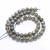 Natural Labradorite Beads Strands X-G-P336-19-8mm-2