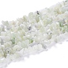 Natural New Jade Chip Bead Strands G-M205-29-3