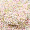 Macaron Color Opaque Frosted Glass Seed Beads SEED-K009-12B-13-2