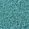 MIYUKI Delica Beads X-SEED-J020-DB0079-3