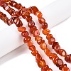 Natural Agate Beads Strands G-N342-65C-4