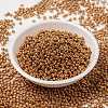 MIYUKI Round Rocailles Beads SEED-X0055-RR1072-3