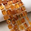 Natural Amber Beads Strands G-C260-A01-06-1