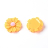Resin Cabochons LS-RESI-TAC0006-02C-02-1