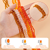 24 Strands 12 Styles Transparent Faceted Glass Beads GLAA-WR0001-04-2