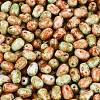 Picasso Glass Seed Beads SEED-N012-10D-3