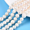 Natural Cultured Freshwater Pearl Beads Strands PEAR-S020-F11-1