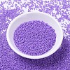 MIYUKI Delica Beads SEED-MY11-DB1379-2