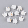 Frosted Transparent Acrylic Beads FACR-T009-01J-2