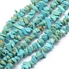 Natural Magnesite Beads Strands G-P332-59A-1