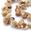 Natural Keshi Pearl Beads Strands PEAR-S021-013B-04-6