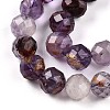 Natural Purple Lodolite Quartz/Purple Phantom Quartz Beads Strands G-T140-21B-4