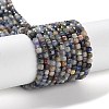 Natural Sodalite Beads Strands G-J400-A06-01-1