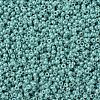 MIYUKI Round Rocailles Beads X-SEED-G007-RR0481-2