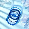 5Pcs 5 Styles Faceted Round Glass Beaded Stretch Bracelet Sets BJEW-JB10423-04-2