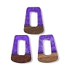 Resin & Wood Pendants WOOD-F015-11H-1