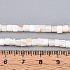 Natural Freshwater Shell Beads Strands SHEL-N027-09A-4